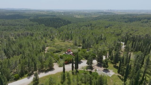 Aerial view of the Thai Pagoda in Ben Shemen Forest, Israel, surrounded by lush green pine and cypress trees