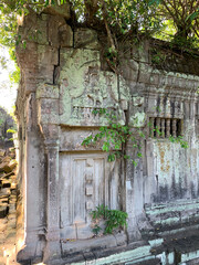 Naklejka premium The ancient moss covered stone walls of the temples in the Angkor area of Siem Reap, Cambodia tell about the might of an ancient empire