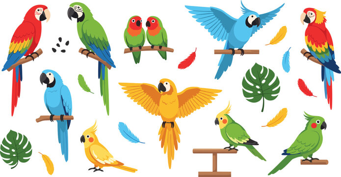 Colorful Parrot and Tropical Bird Illustration Set Featuring Macaw, Cockatiel, Lovebird, and Exotic Parrots Perching and Flying with Feathers and Leaves.