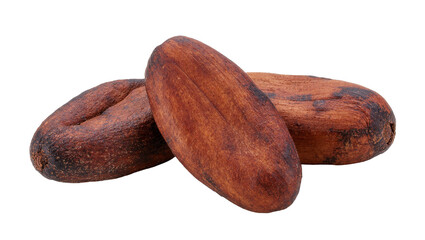 Obraz premium Isolated delicious cocoa beans, raw material for chocolate and confectionery industry.