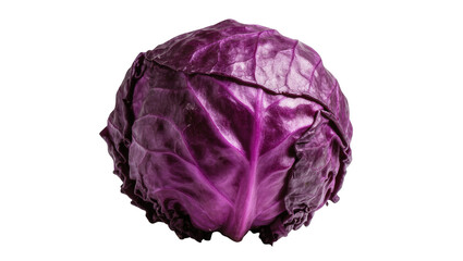 Obraz premium Isolated vibrant whole fresh red cabbage, a healthy cruciferous vegetable ready for cooking