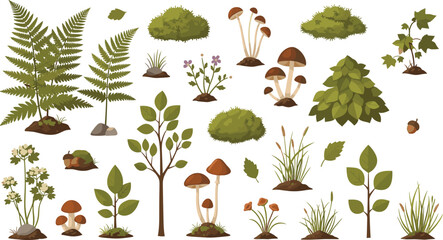 Forest Plants and Woodland Nature Elements Illustration Set Featuring Ferns, Trees, Bushes, Mushrooms, Grass, and Wild Vegetation for Botanical Design. © MdNazmul