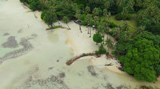 Aerial view of Bobby Beach shows the contrast of bright turquoise waters against the lush green trees, Karimunjawa, Jawa Tengah, Indonesia.