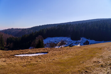 Zieleniec , w drodze na górę Orlica © rob