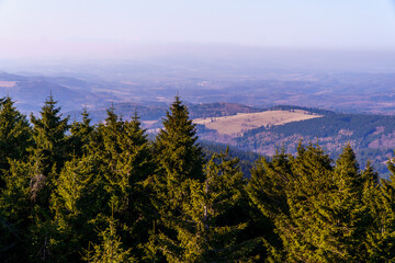 Zieleniec , w drodze na górę Orlica © rob