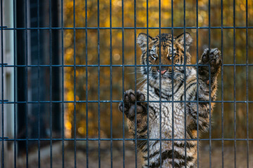 230128-F-YR448-1014 © Mubin