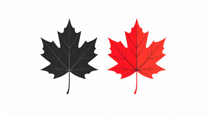Fototapeta premium Two maple leaves displayed side by side one red and one black flat decorative vector illustration isolated on white background