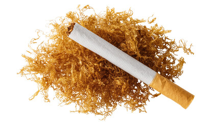 Isolated classic unlit cigarette with natural dry shredded loose cut tobacco for smoking © Miguel