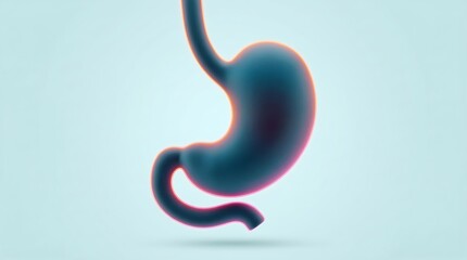 Fototapeta premium A detailed illustration of a human stomach with a glowing outline