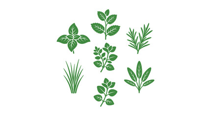Obraz premium A set of green vector icons featuring popular culinary herbs like basil, mint, and rosemary. Perfect for cooking, food branding, menus, and organic product design.