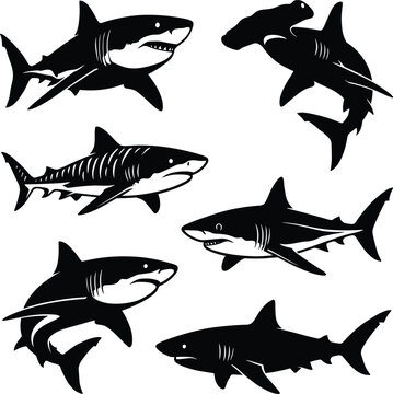 Seven black and white shark silhouettes in different poses ocean marine life de