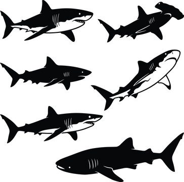 Seven black and white shark silhouettes in various positions ocean