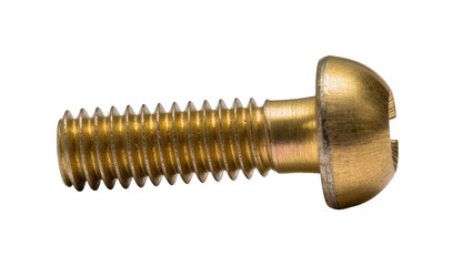 Isolated detailed image of a shiny brass machine screw, featuring a slotted domed head. © Antonio