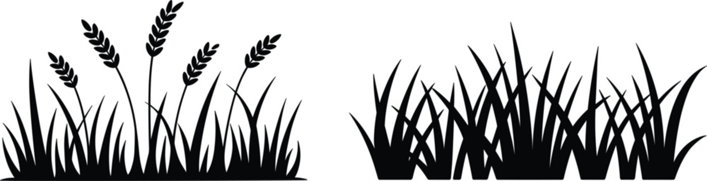 Set of black grass silhouette borders with wheat ears, outdoor nature field vector for landscape decoration