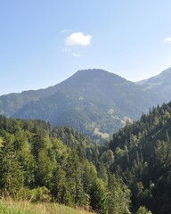 Obraz premium Mountain view in a green valley during a clear day in the mountains