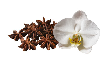 Fototapeta premium Isolated Star anise spice and elegant white orchid flower for aroma and fragrance