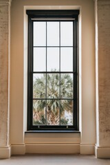 Fototapeta premium A contemporary room features a large window showcasing a beautiful palm tree swaying gently outside, illuminated by bright daylight