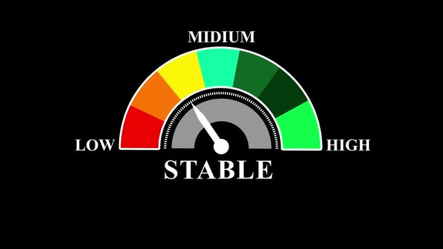 Stable gauge meter with color-coded risk assessment levels