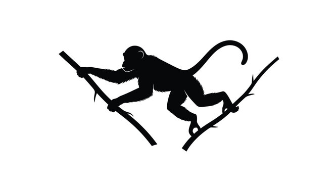 A black silhouette of a monkey walking on two branches