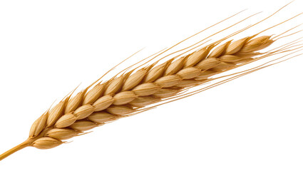 Isolated single golden wheat ear symbolizing harvest, growth, and natural agricultural bounty © Patricia