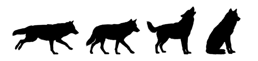Set of wolf silhouettes. Wolf silhouette isolated.  © KR Studio