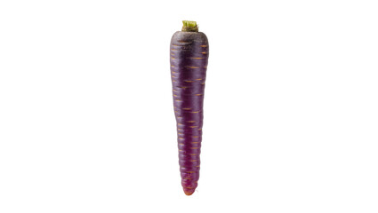 Isolated healthy whole raw organic heirloom purple carrot root vegetable standing upright © Pablo