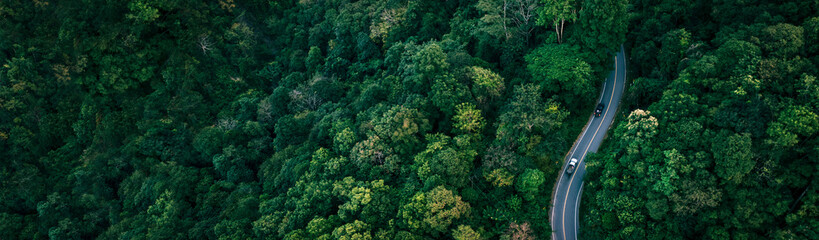 Obraz premium Aerial view of a winding road cutting through dense tropical forest representing sustainable transport, green economy and ESG investment concept. Perfect for environment, mobility, finance or business