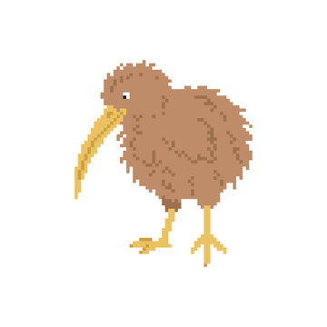Pixel art kiwi bird in retro 8-bit game style. New Zealand wildlife mascot for gaming assets and nature concepts.