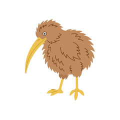 Naklejka premium brown kiwi bird with yellow legs. Authentic New Zealand wildlife mascot for nature and conservation concepts.