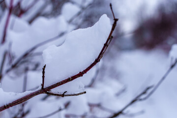 Górka w Jaworzno Szczakowa - widoki  © rob