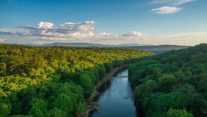 Serene Landscape of Lush Green Forest and Calm River Under Blue Sky