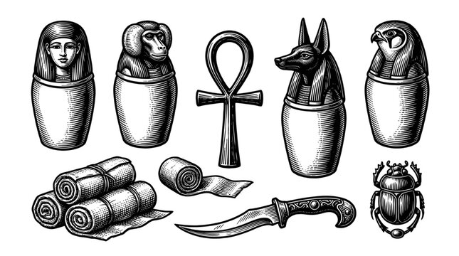 Ancient Egyptian artifacts on display include mummified animals, symbols, and relics.