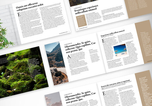 Modern Sustainability Impact Report