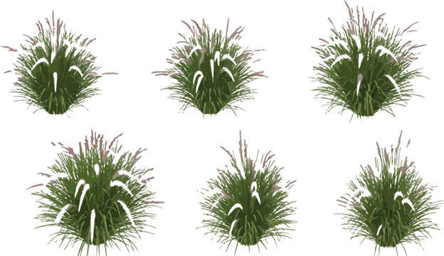 Six isolated specimens of ornamental fountain grass featuring delicate pink plumes and vibrant green foliage against a transparent background