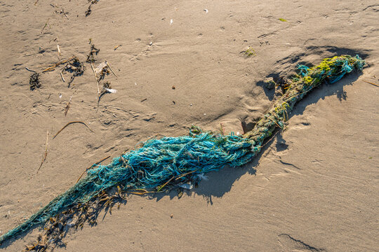 Frayed rope washed ashore on the wet sand of the Dutch North Sea beach. The photo was taken on a sunny day at low tide.