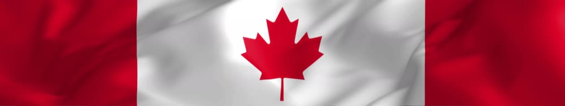 Widescreen Canadian Flag Waving Smoothly Loop 
