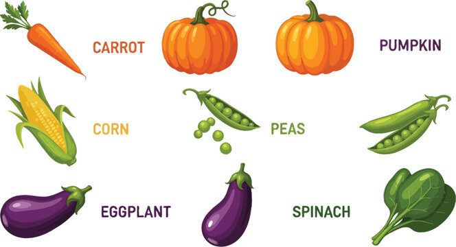 Assorted vegetables and fruits including carrot corn pumpkin peas eggplant and spinach in various colors