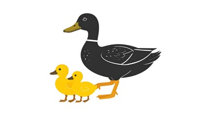 Fototapeta premium A cartoon depiction of a black duck with a yellow beak and two yellow ducklings against a white backdrop