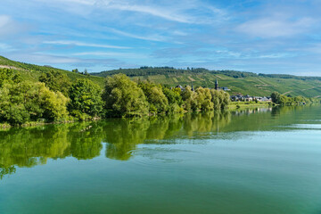 Moselle river reflecting lush green vegetation and vineyards in germany © Birgit Reitz-Hofmann