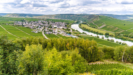 Obraz premium Moselle river winding through lush vineyards and picturesque village Traben Trabach in germany