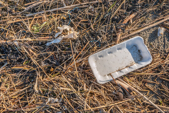 Closeup of organic and plastic waste washed ashore on the Dutch North Sea beach.