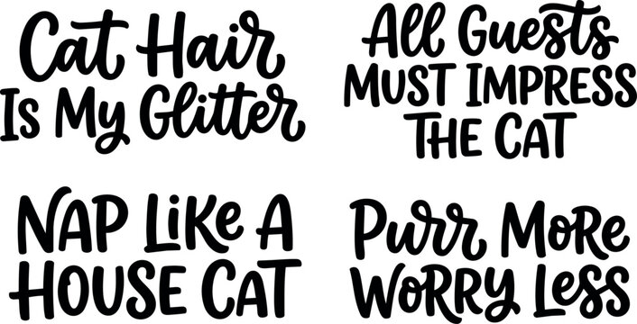 Hand lettering cat quotes set with playful sayings about cats and pet attitude in black script style on white background
