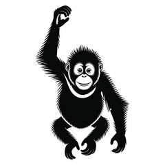 orangutan © MDABDUL