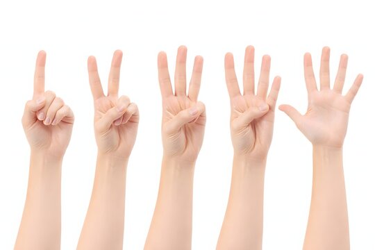 Four hands displaying numbers on fingers isolated on a white background for counting or education purposes clearly
