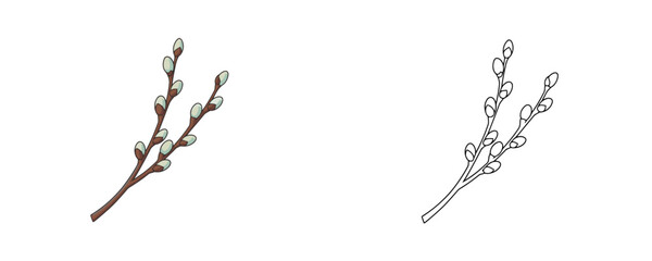 Willow branches cartoon illustration with soft buds in brown and grey colors representing spring nature and Easter symbols on white background © Dzianis