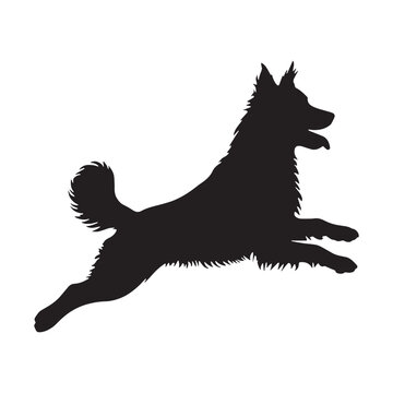 Akbash Dog &ndash; Loyal Turkish Livestock Guardian, Powerful White Shepherd Breed, Intelligent Protector, Brave Farm Dog, Calm Temperament, Family Friendly, Working Guardian, Rare Herding Dog, Strong.