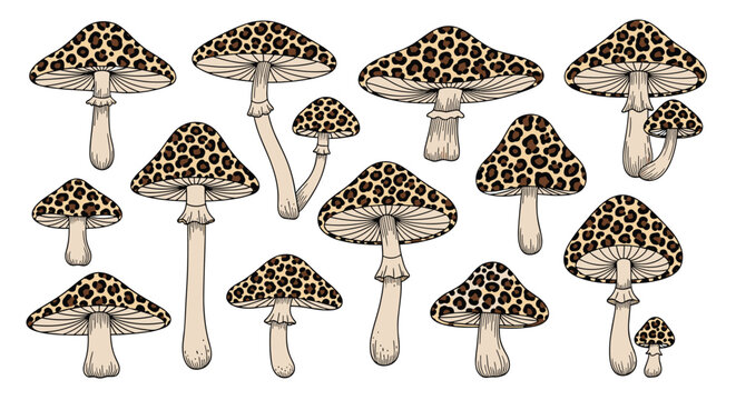 Unique collection of hand-drawn mushrooms with exotic leopard print patterns on their caps isolated on a clean white background.