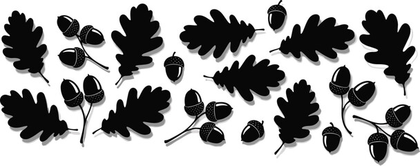 Autumn oak leaf silhouette collection featuring acorns on branches, forest foliage, elegant nature botanical vector icons set for fall decoration. © PaponKumar