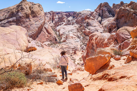 Overton, Nevada, USA &ndash; March 5, 2026: A visitor hikes on the White Domes Loop trail in the Valley of Fire State Park in Overton, Nevada.