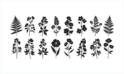 Obraz premium Black floral silhouettes, various flowers and ferns, botanical illustrations, decorative plants